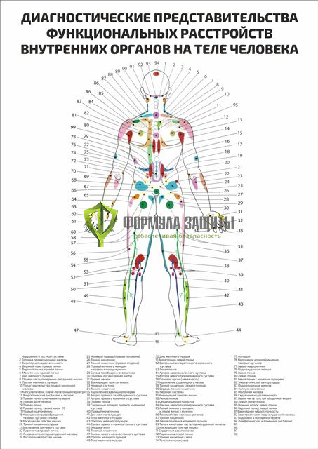 Плакат «Диагностические представительства  функциональных расстройств  на теле человека» от интернет-магазина Формула Защиты
