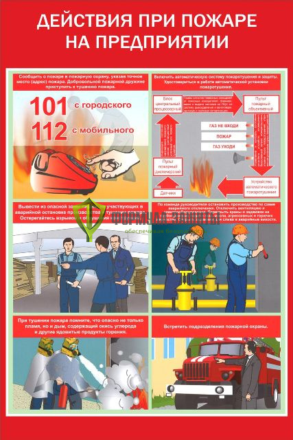 Плакат «Действия при пожаре на предприятии» от интернет-магазина Формула Защиты