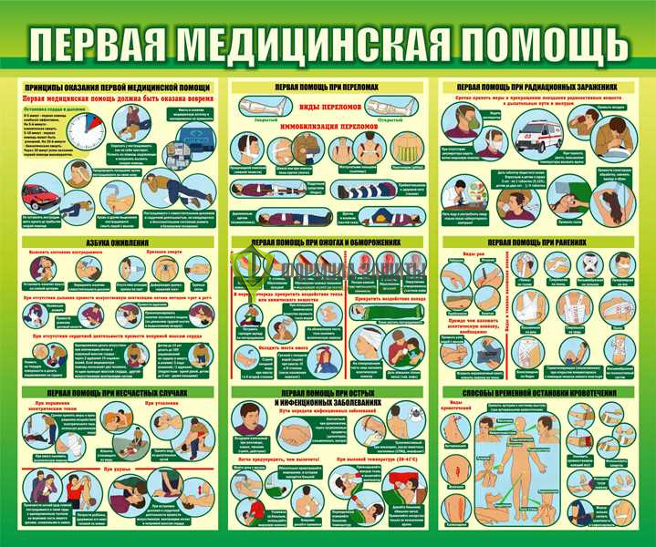 Стенд "Первая медицинская помощь" (размер: 1200x1000 мм) от интернет-магазина Формула Защиты