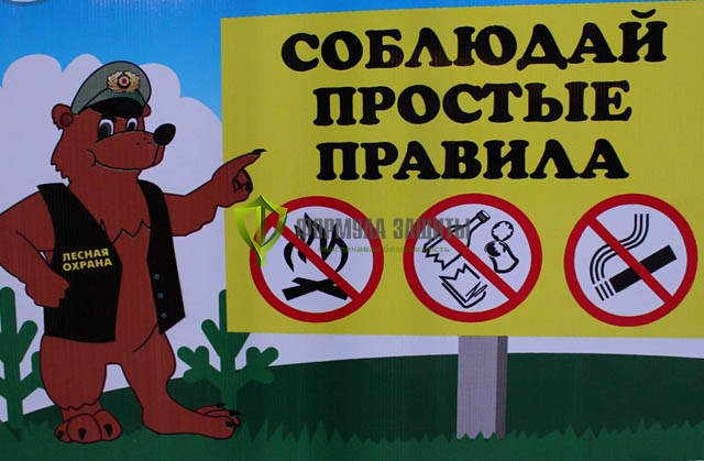 Аншлаг противопожарный «Соблюдай простые правила» 900х600 мм от интернет-магазина Формула Защиты