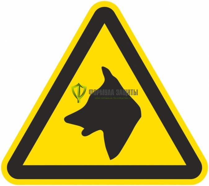 Знак W44 «Осторожно. Злая собака» (пленка) от интернет-магазина Формула Защиты