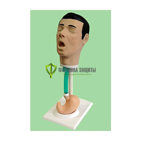 Т16 Тренажер для зондирования и промывания желудка от интернет-магазина Формула Защиты