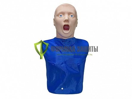 «Алексей» Тренажер для отработки приемов восстановления проходимости дыхательных путей от интернет-магазина Формула Защиты