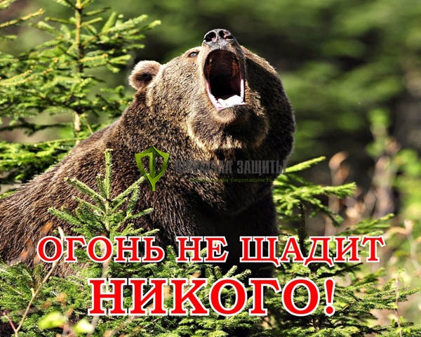 Аншлаг противопожарный «Огонь не щадит НИКОГО!» 900х600 мм от интернет-магазина Формула Защиты