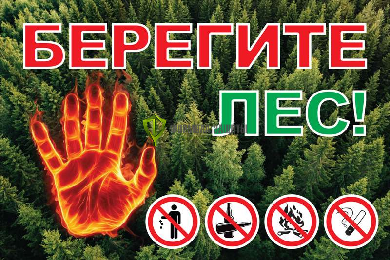 Аншлаг противопожарный «Берегите лес!» 1500х1000 мм от интернет-магазина Формула Защиты
