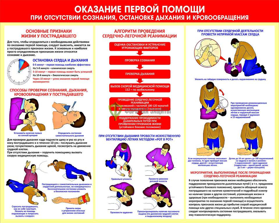 Стенд "Оказание первой помощи" (размер: 1500x1000 мм) от интернет-магазина Формула Защиты