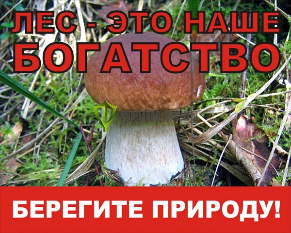 Аншлаг противопожарный «Берегите природу!» 900х600 мм от интернет-магазина Формула Защиты