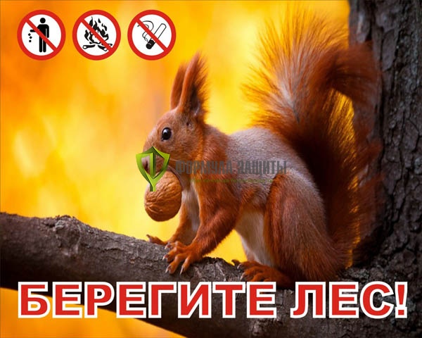 Аншлаг противопожарный «Берегите лес!» 1000х800 мм от интернет-магазина Формула Защиты