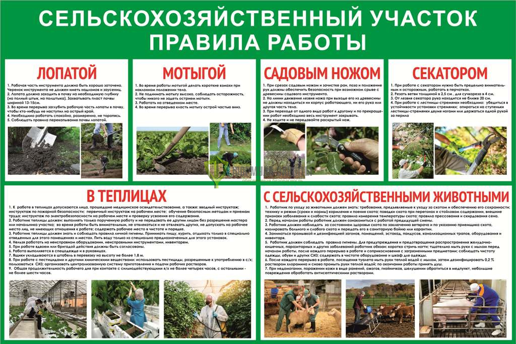 Стенд "Сельскохозяйственный участок правила работы" (размер: 1200x1000 мм) от интернет-магазина Формула Защиты
