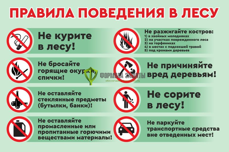 Аншлаг противопожарный «Правила поведения в лесу» 1300x1000 мм от интернет-магазина Формула Защиты