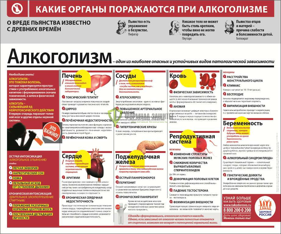 Стенд "Алкоголизм" (размер: 1200x1000 мм) от интернет-магазина Формула Защиты