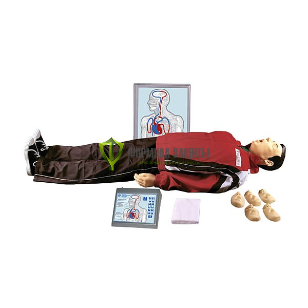 Т12 «Максим III-01» тренажер сердечно-легочной и мозговой реанимации пружинно-механический с индикацией правильности выполнения действий, тестовыми режимами и настенным табло - манекен от интернет-магазина Формула Защиты