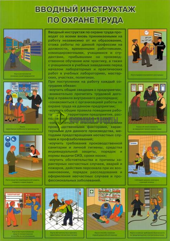 Плакат «Вводный инструктаж по охране труда» от интернет-магазина Формула Защиты